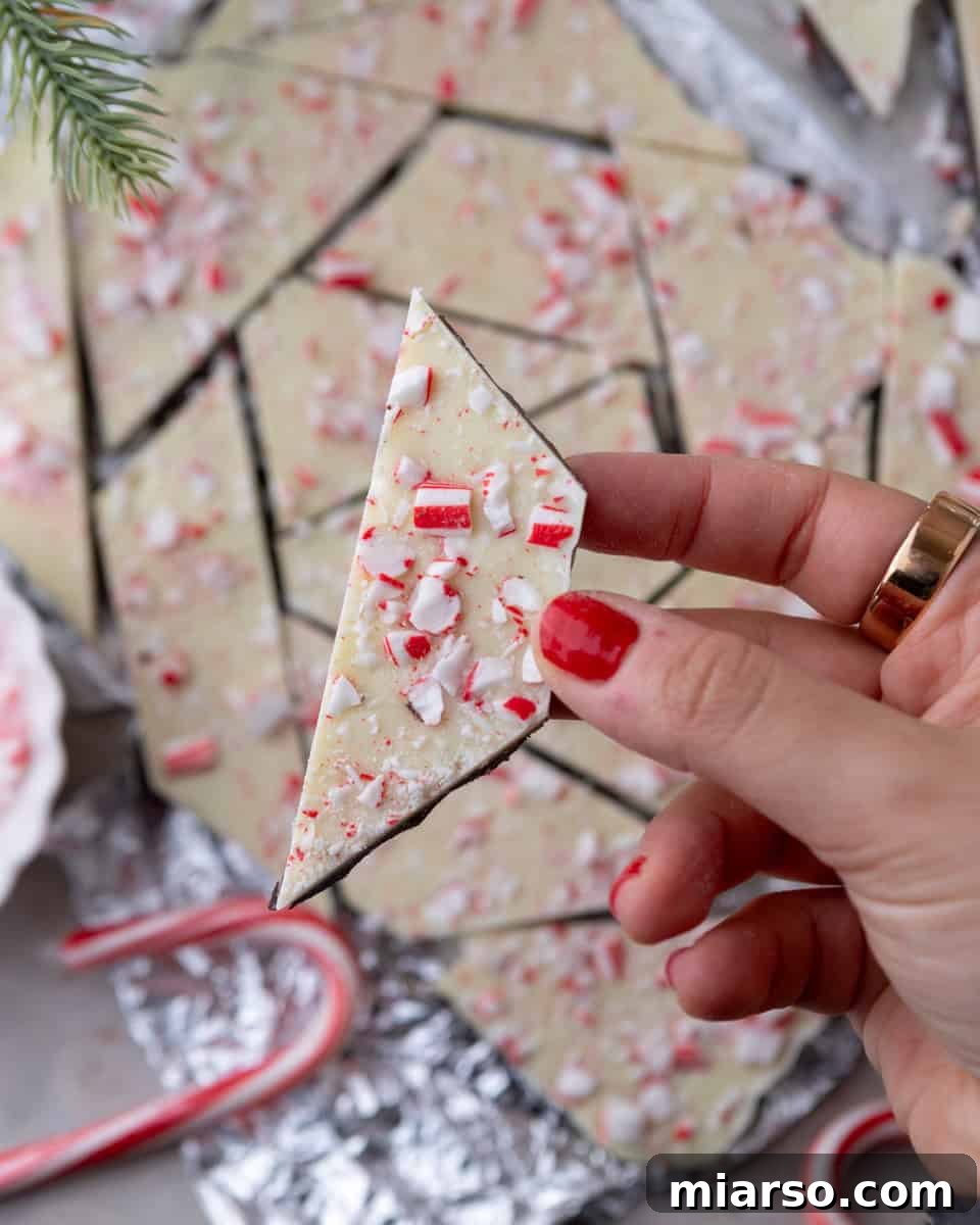 Hand holding a shard of perfectly made peppermint bark, showcasing its delicious layers and candy cane topping.