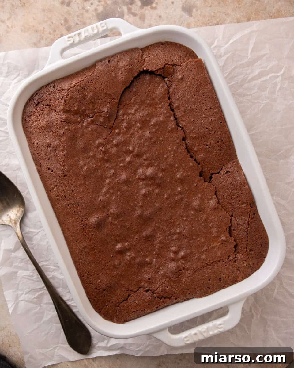 Ina Garten's Viral Brownie Pudding Sensation 9 A freshly baked Ina Garten brownie pudding, showing a slightly cracked, set top and a visibly soft, jiggly center.