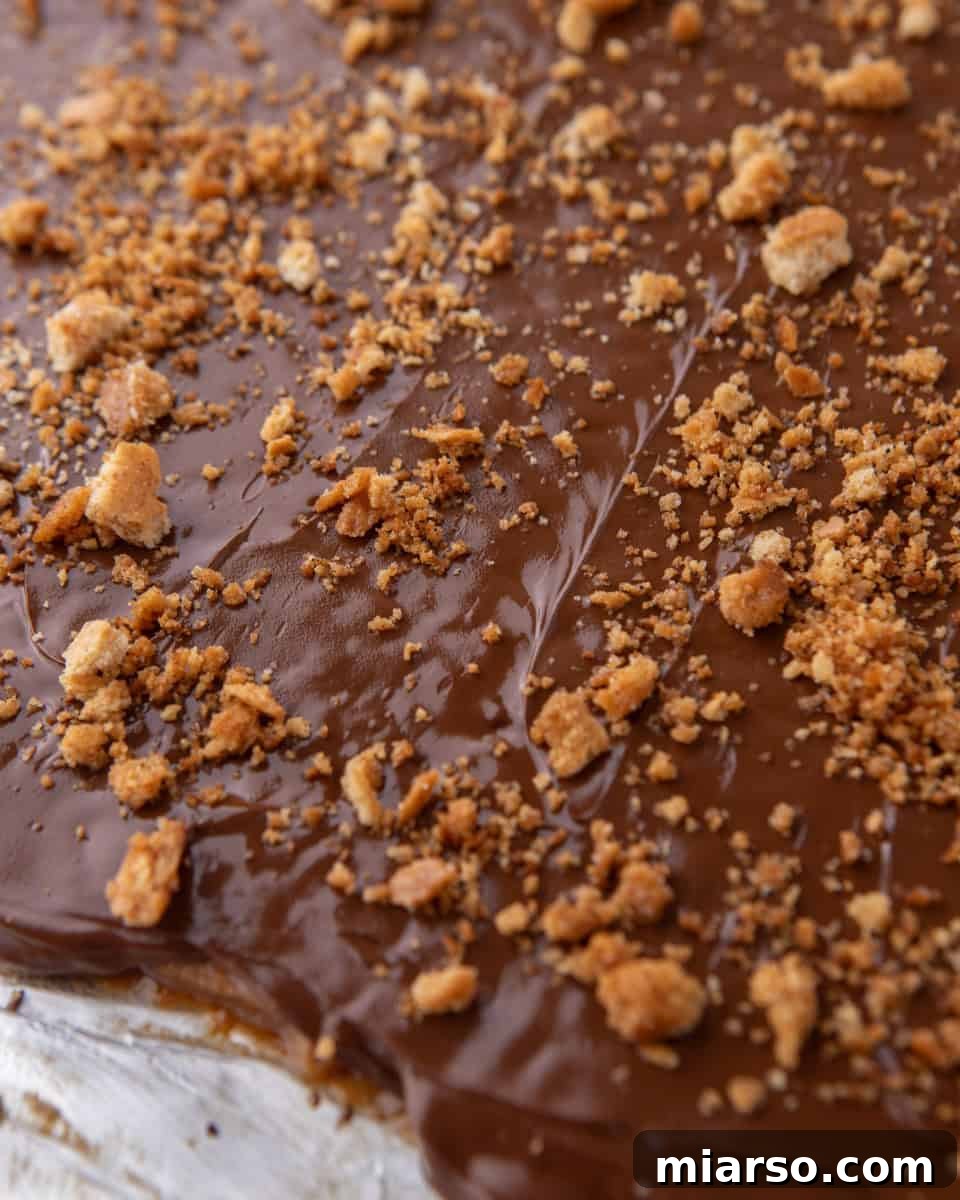 Melted chocolate spread over graham cracker toffee
