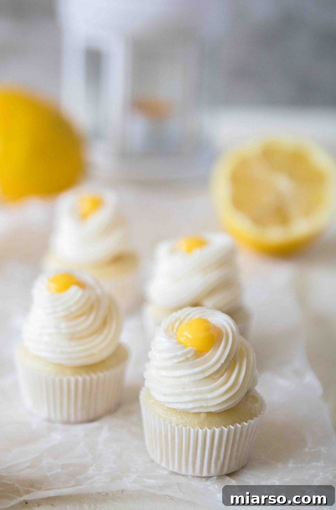 Mini lemon cupcakes arranged beautifully