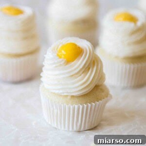 Perfect mini lemon cupcakes