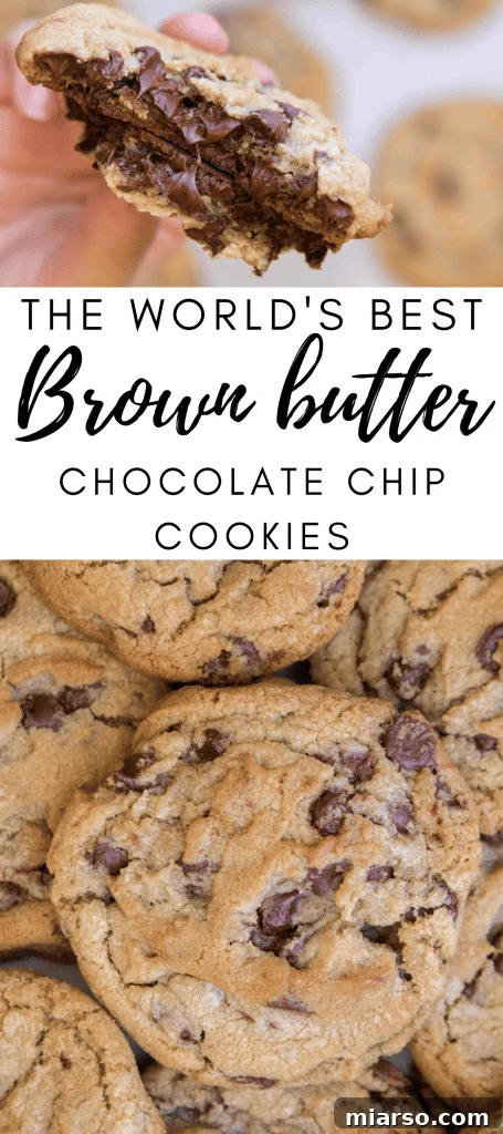 The world's brown butter  chocolate chip cookies