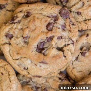 The world's brown butter chocolate chip cookies