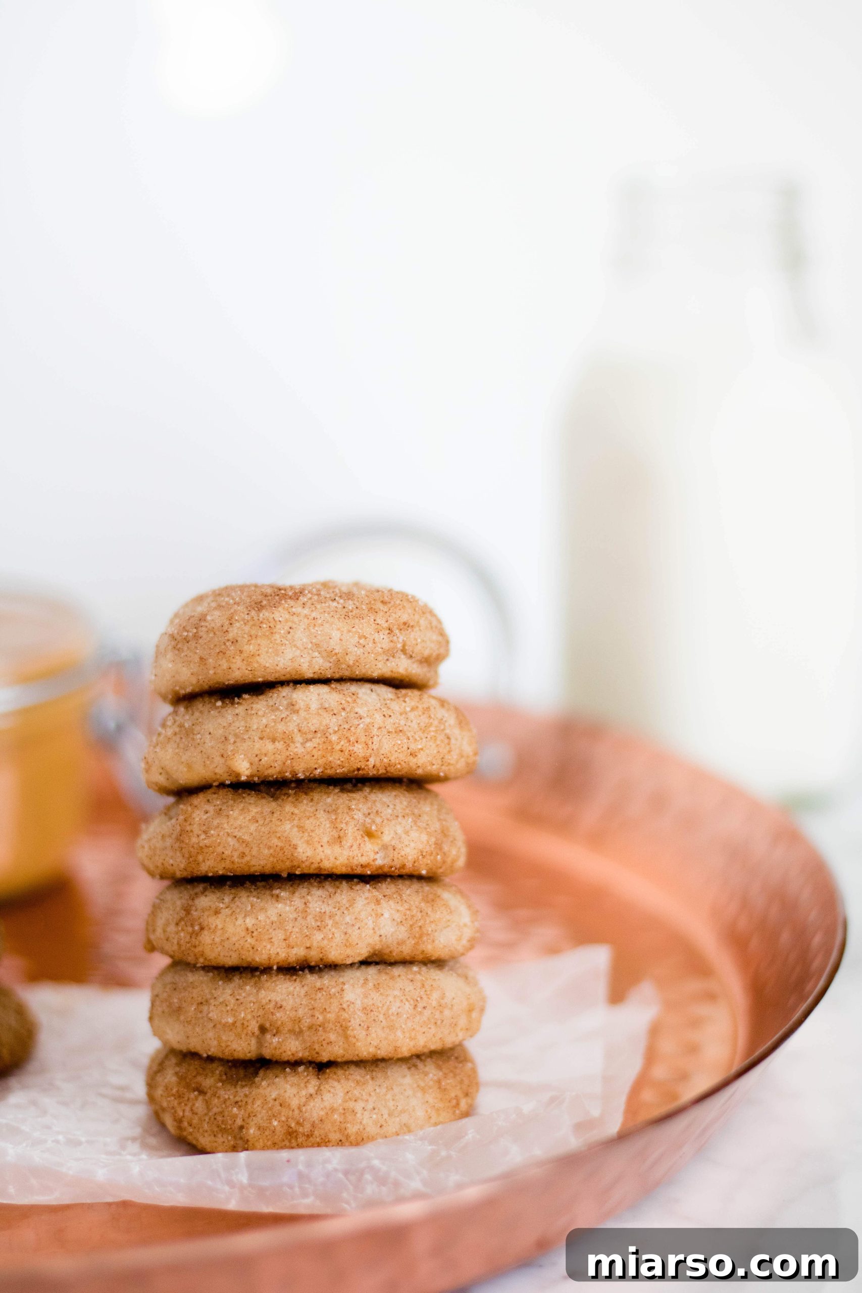 A beautifully textured Snickerdoodle cookie, generously coated in cinnamon sugar, rests on a pristine white background. The soft crinkles on its surface suggest its tender chewiness, and the slight browning indicates perfect baking. The simplicity of the image highlights the cookie's inviting appearance.