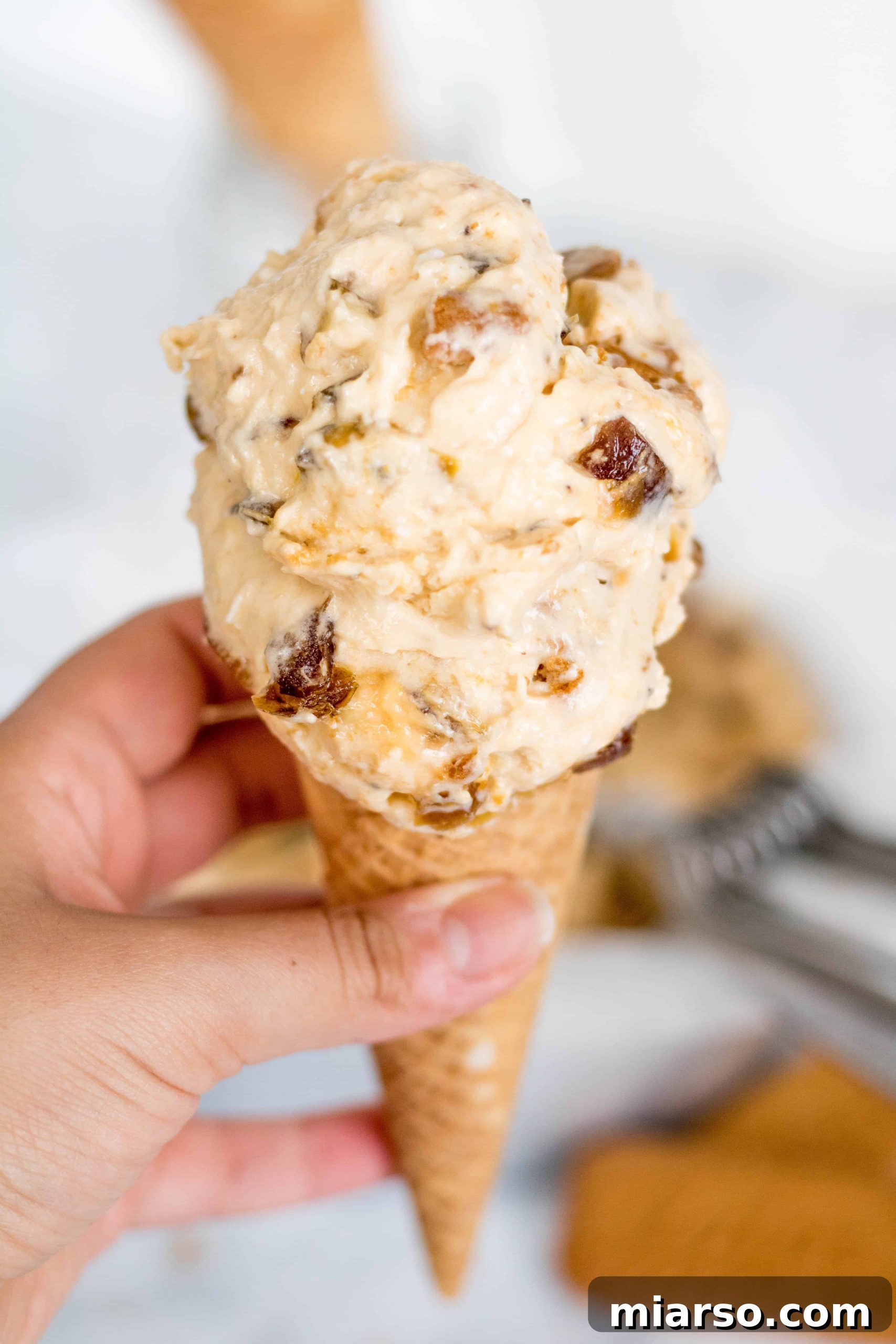 Creamy Vegan Biscoff Date Plantain Nice Cream 2 Scoops of creamy Vegan Biscoff and Date Plantain Ice Cream in a bowl