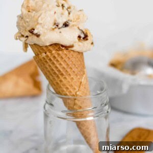 Creamy Vegan Biscoff Date Plantain Nice Cream 6 Vegan Biscoff and Date Plantain Ice Cream