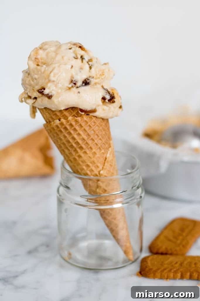 Creamy Vegan Biscoff Date Plantain Nice Cream 7 Close-up of Vegan Biscoff and Date Plantain Ice Cream with Biscoff crumbs and date pieces