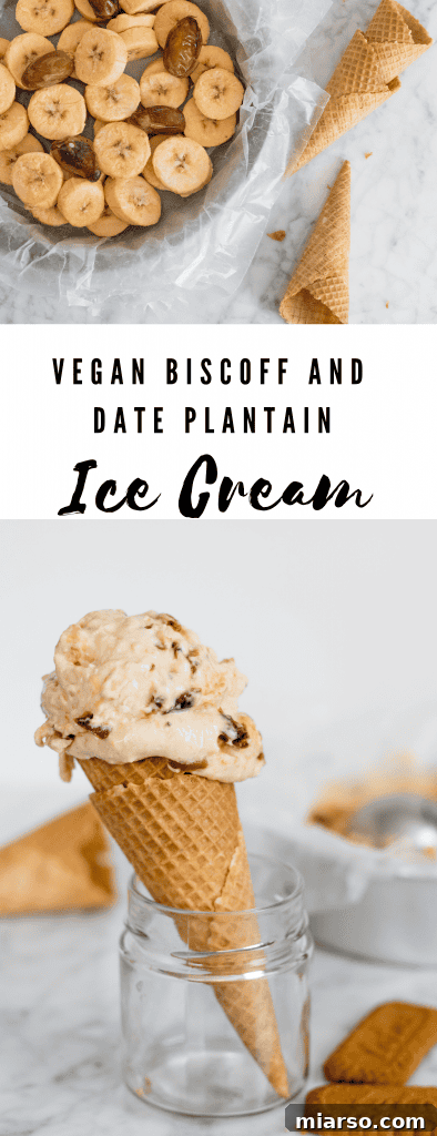 Creamy Vegan Biscoff Date Plantain Nice Cream 8 Pin for Vegan Biscoff and Date Plantain Ice Cream