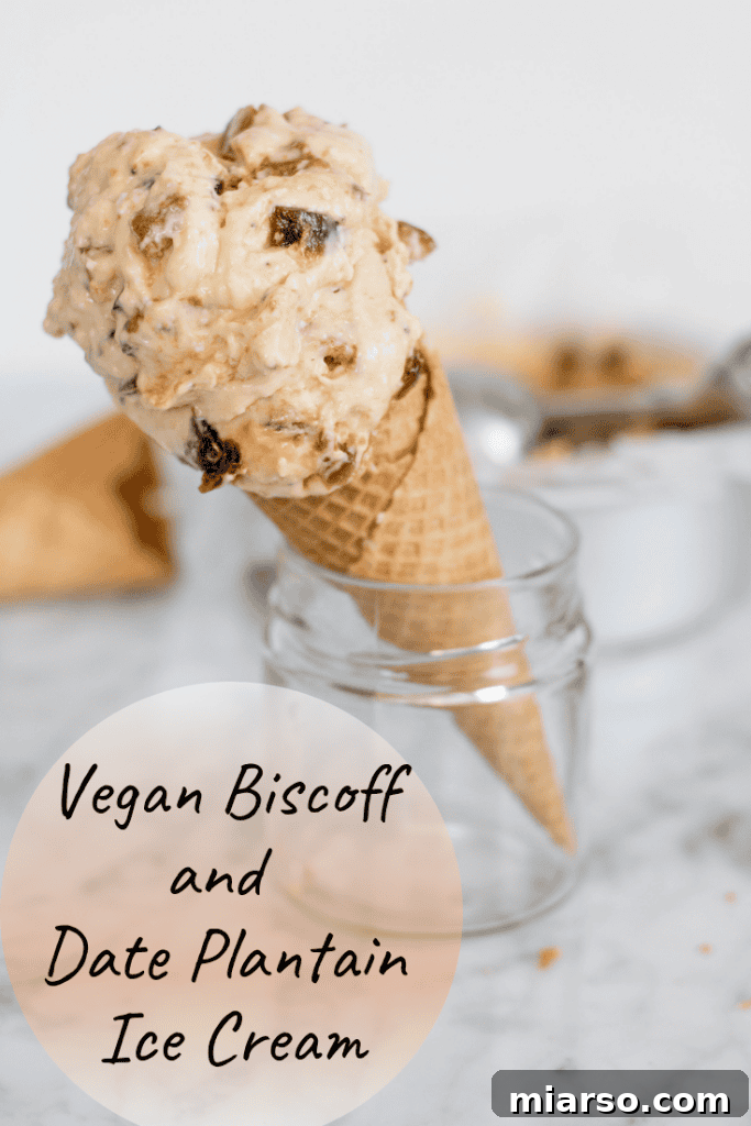 Creamy Vegan Biscoff Date Plantain Nice Cream 9 Pin for Vegan Biscoff and Date Plantain Ice Cream recipe