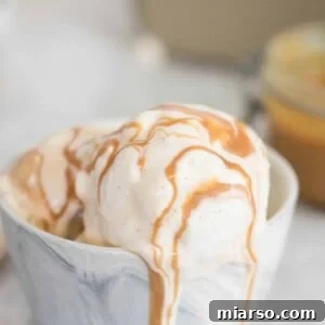 Close-up of creamy Dulce de Leche Vanilla Bean Ice Cream in a bowl