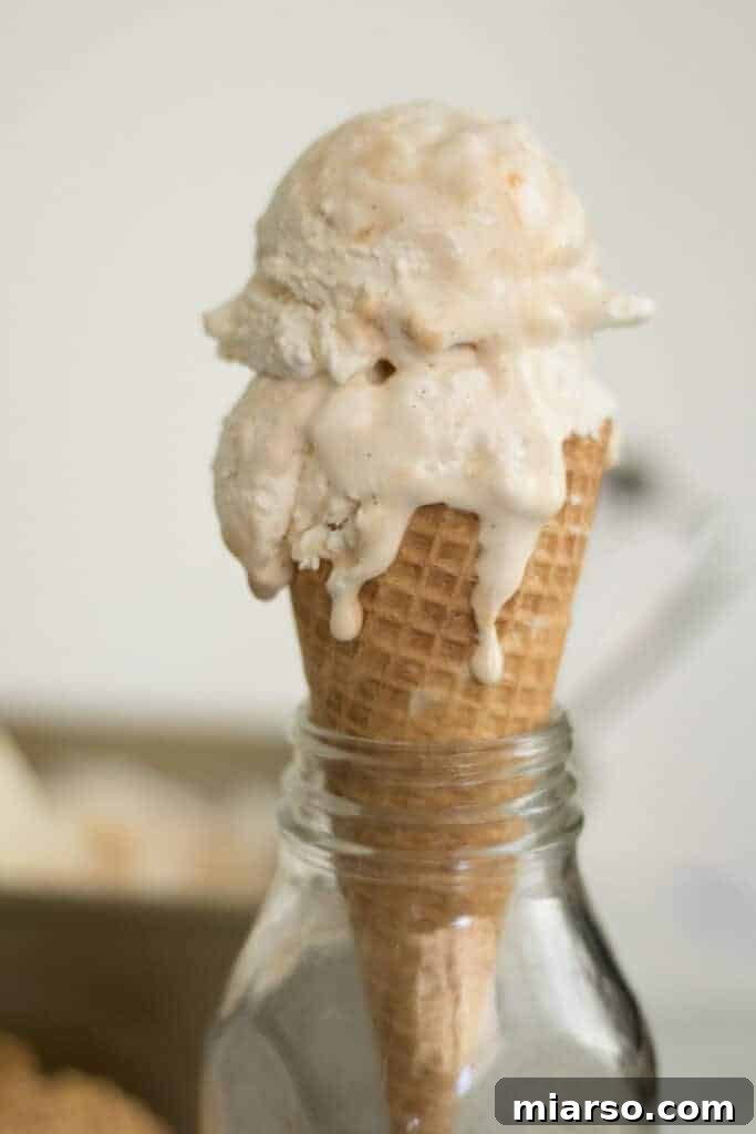 Frozen No-Churn Dulce de Leche Vanilla Bean Ice Cream scooped into a cone