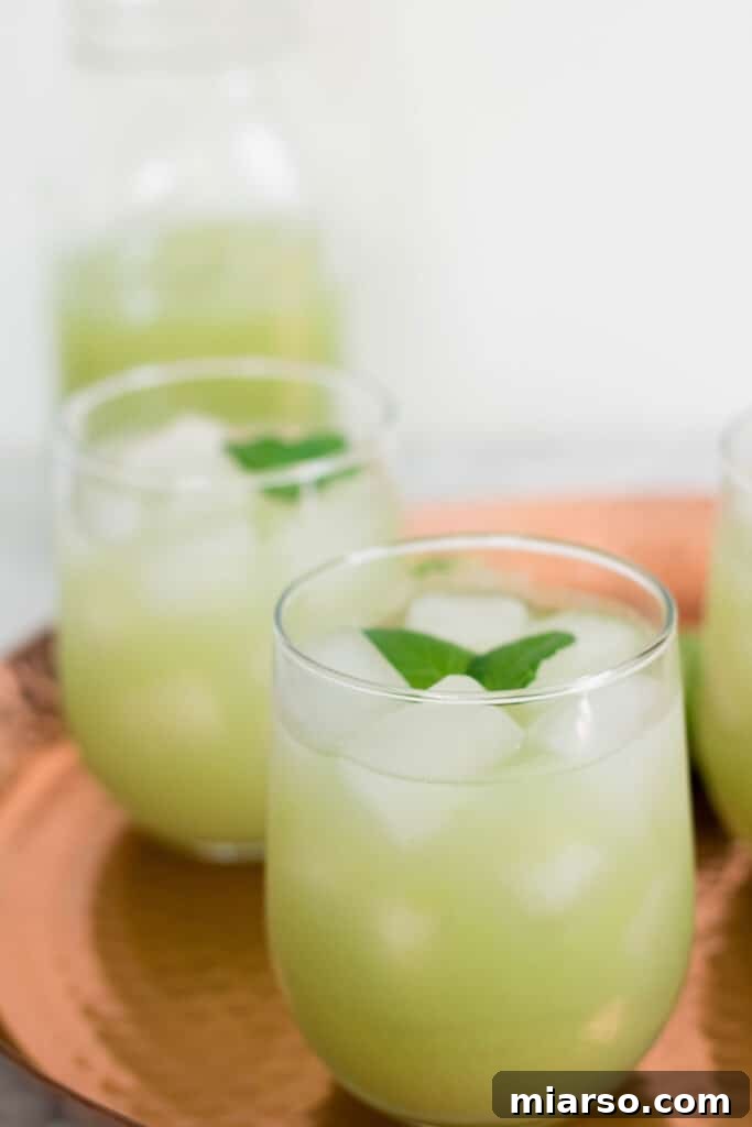 Close-up of a glass of cucumber grape lemon cooler, garnished with fresh mint.