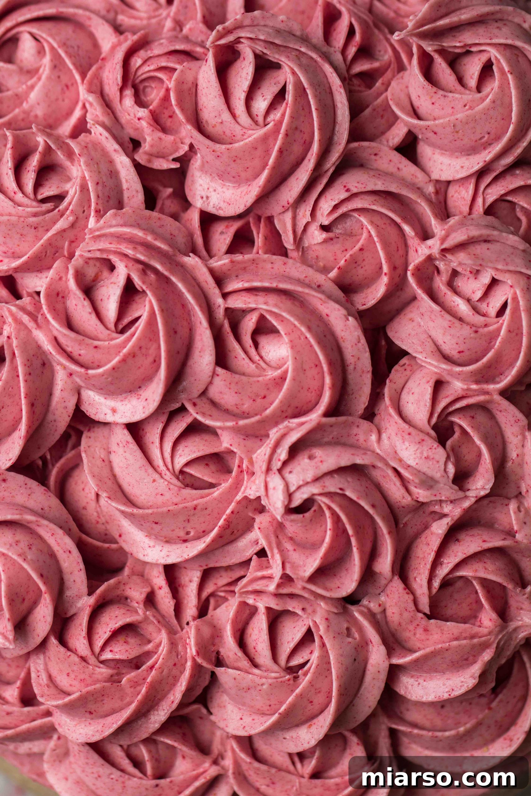 Raspberry Bliss Cake with Silky Buttercream 2 Delicious pink raspberry cake topped with fresh raspberries