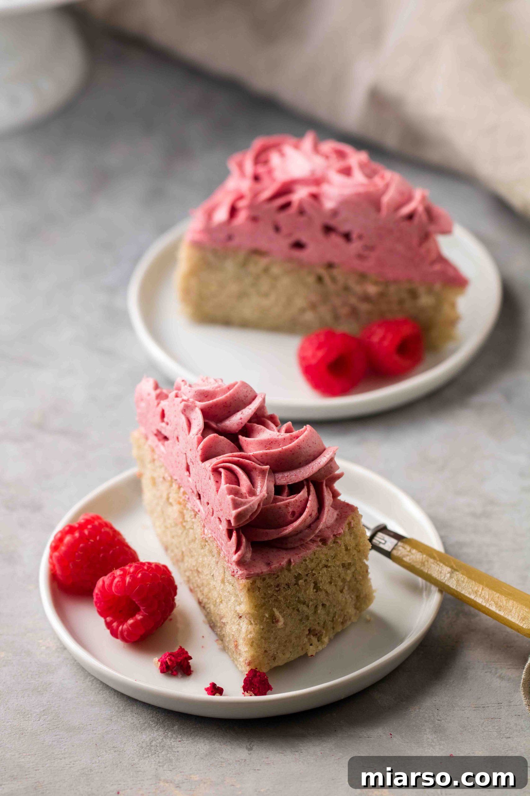 Raspberry Bliss Cake with Silky Buttercream 3 Easy homemade butter cake with raspberry frosting and delicate piping