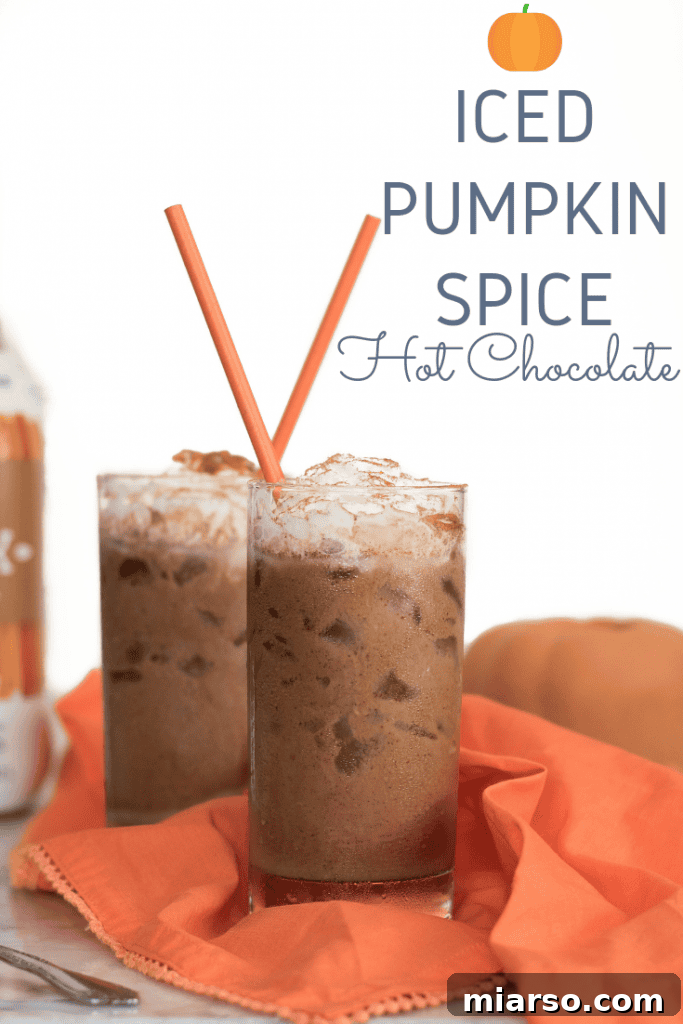 The Ultimate Vegan Iced Pumpkin Spice Hot Chocolate 10 Ingredients for Iced Vegan Pumpkin Spice Hot Chocolate laid out