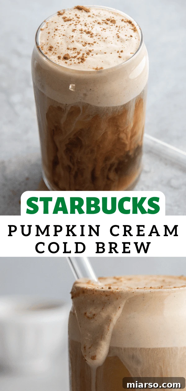 Fall's Ultimate Starbucks Pumpkin Cream Cold Brew 11 A festive glass of pumpkin cream cold brew with a rich, creamy foam and a sprinkle of spices.