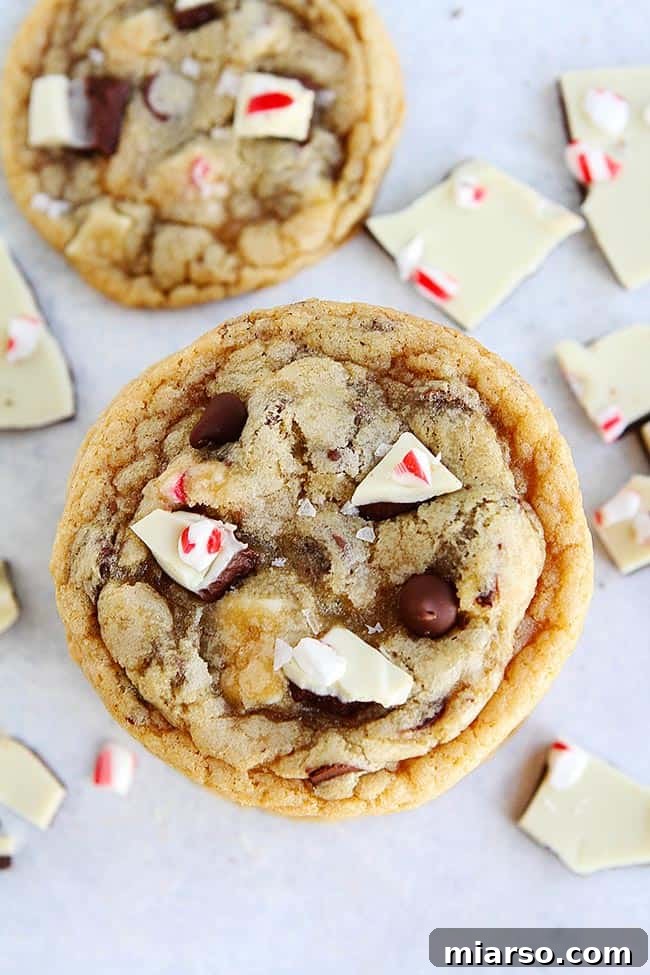 17 days of holiday cookie recipes