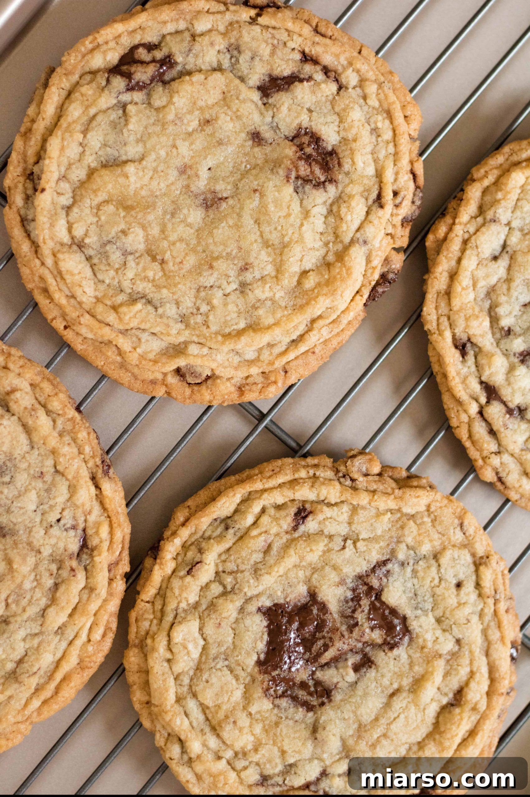 17 days of holiday cookie recipes