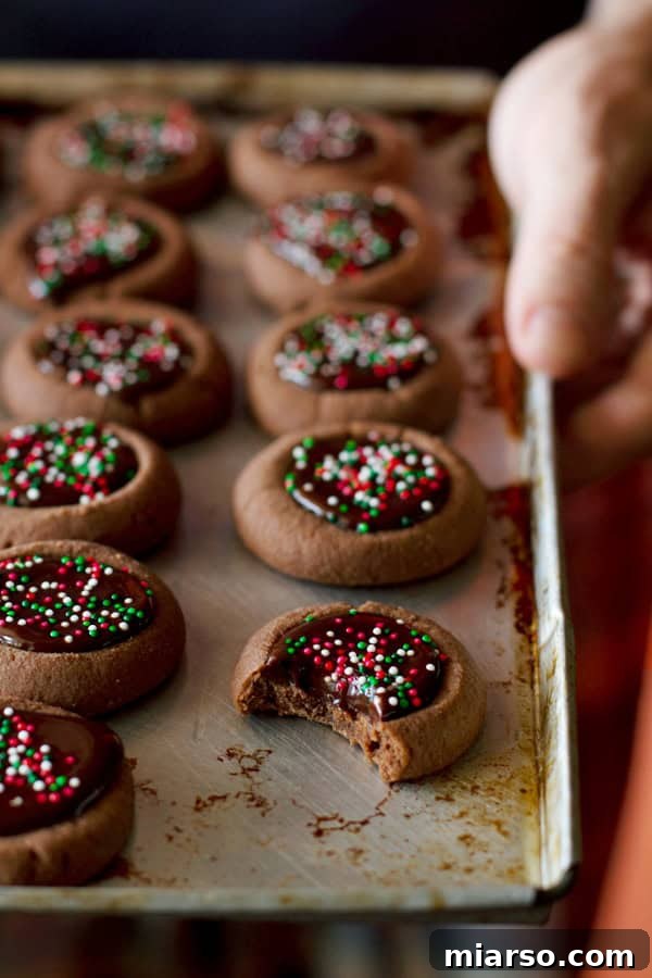 17 days of holiday cookie recipes