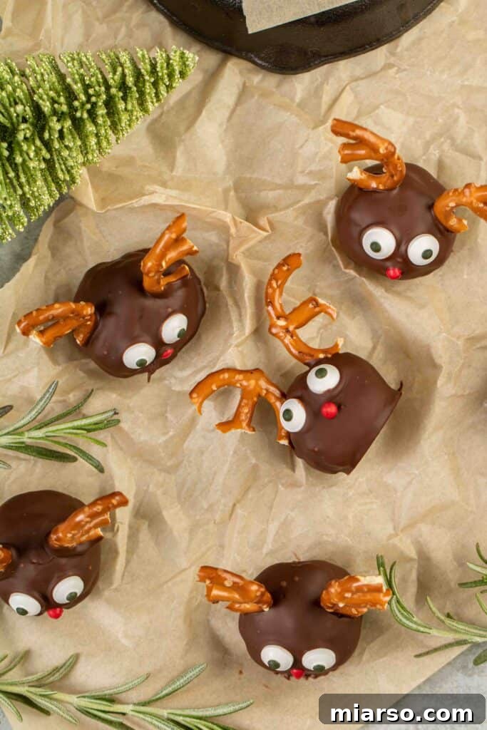 Overhead shot of adorable reindeer peanut butter balls with rice krispies, coated in chocolate with pretzel antlers and candy eyes.