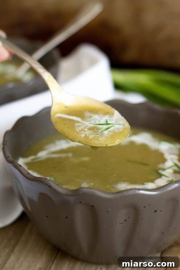 Mexican squash soup