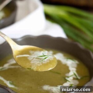 Mexican squash soup