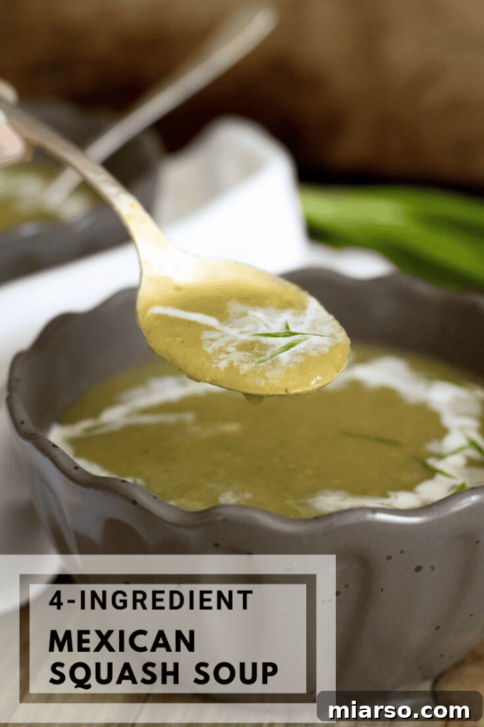 Mexican squash soup