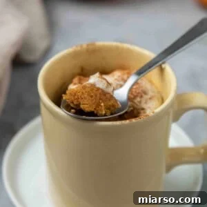 Single serve pumpkin mug cake recipe