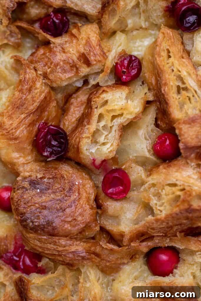 Heavenly Croissant French Toast Bake 12 Croissant French toast bake with dried cranberries folded into the custard, viewed from above.