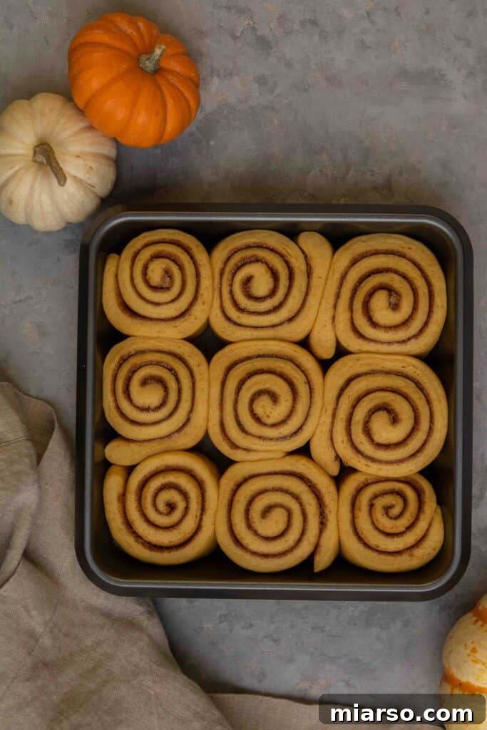 Cinnamon rolls ready for baking after proofing