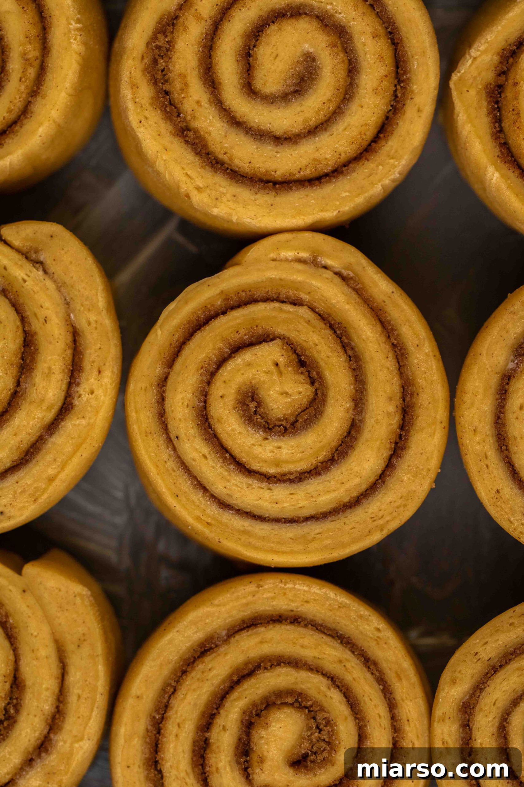 A freshly baked pumpkin cinnamon roll covered in maple cream cheese frosting