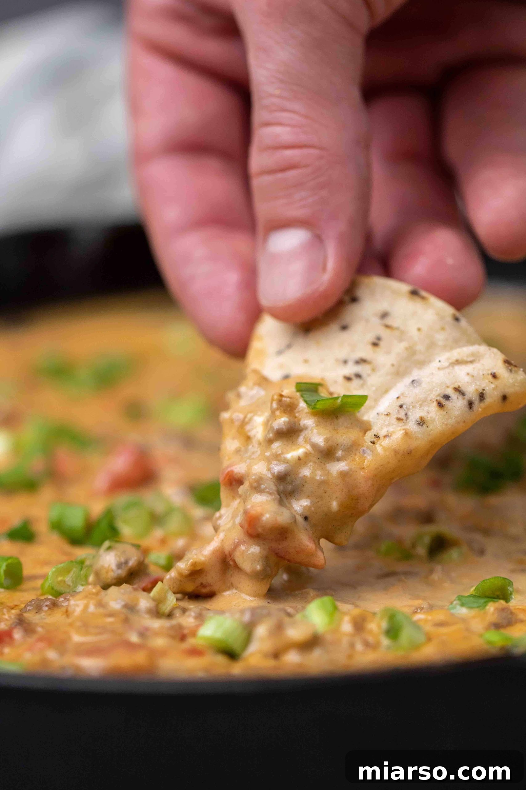 Overhead shot of creamy Rotel dip in a slow cooker, garnished with green onions and surrounded by tortilla chips.
