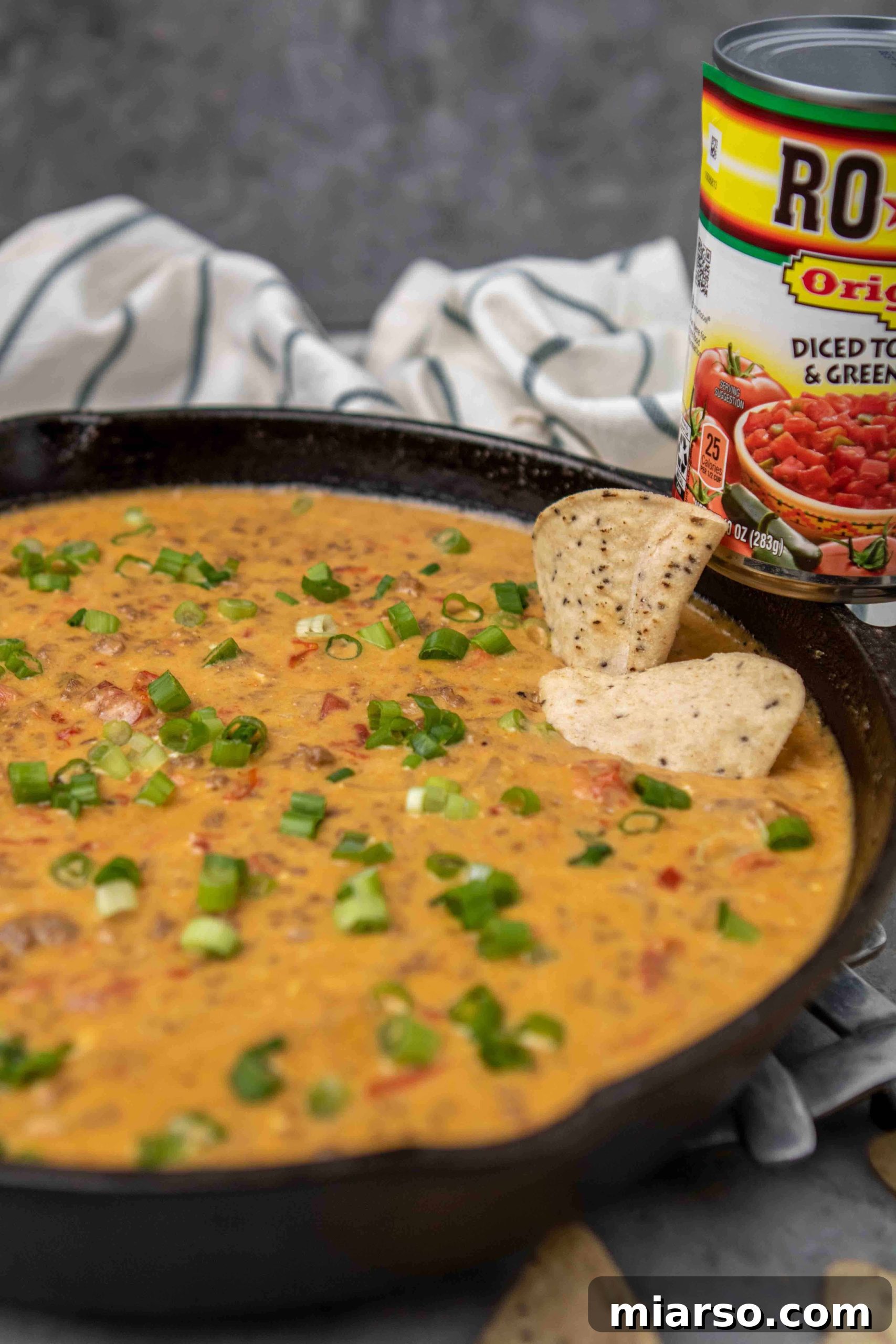 Close-up overhead shot of a creamy, garnished Rotel dip ready to be served.