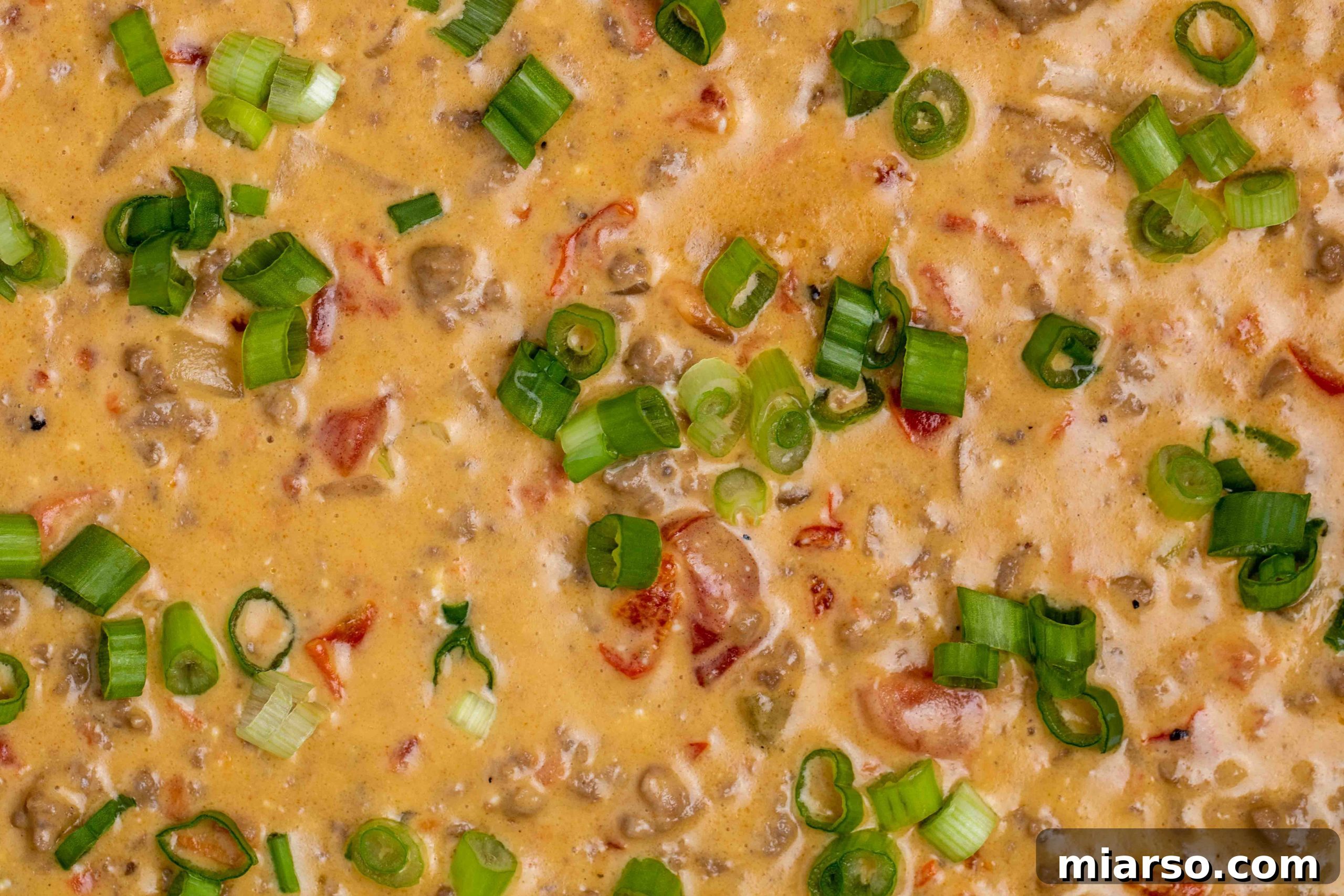 Overhead close up shot of the Rotel dip garnished with vibrant green onion slices, ready to be served.