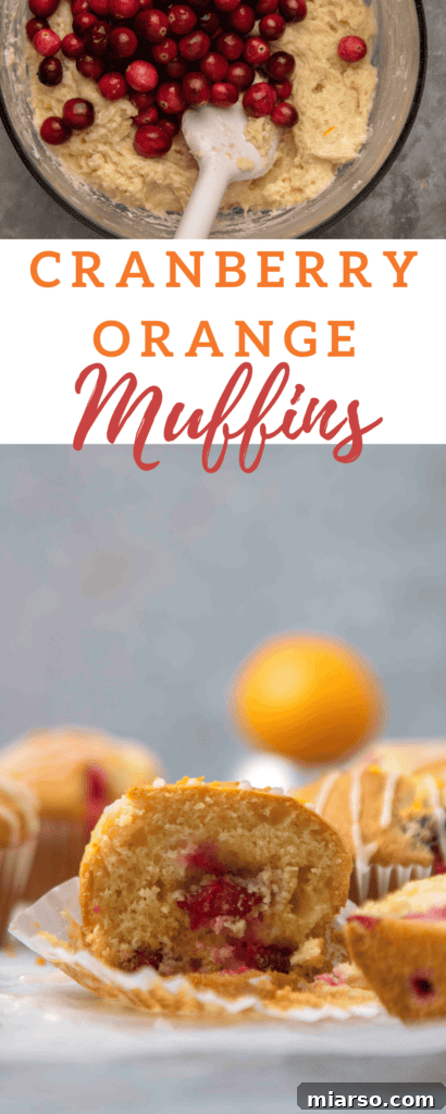 Moist cranberry orange muffins