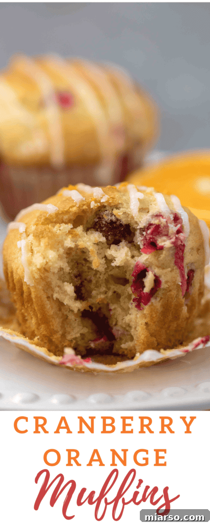 Moist cranberry orange muffins