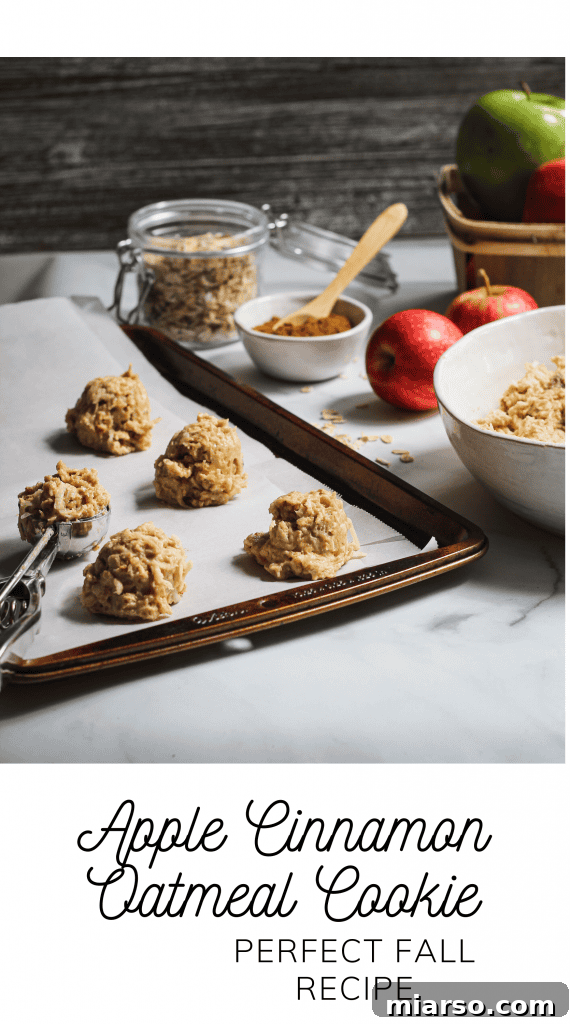 Cozy Apple Cinnamon Oat Cookies 7 Pin-worthy collage showing Apple Cinnamon Oatmeal Cookies ingredients and a finished cookie.