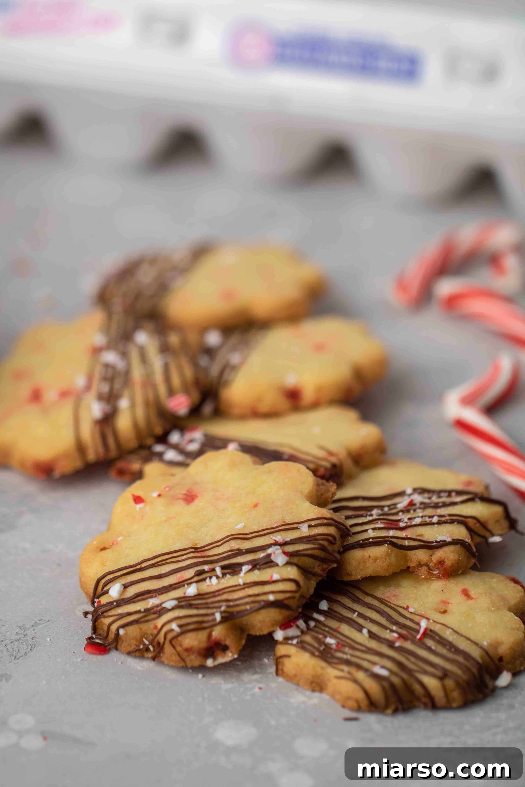 Festive peppermint shortbread cookies on a cooling rack, drizzled with dark chocolate and sprinkled with crushed candy canes.