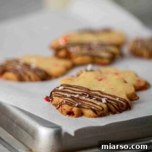 Peppermint candy cane shortbread cookies with chocolate drizzle, ready for serving.