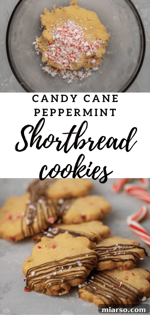 Peppermint candy cane shortbread cookies, perfect for Pinterest.