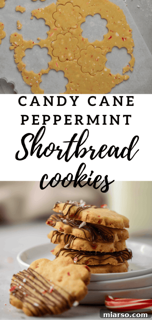 Candy cane peppermint shortbread cookies with chocolate drizzle for holiday baking inspiration on Pinterest.
