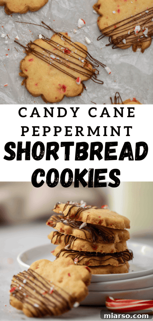 Festive peppermint shortbread cookies with chocolate drizzle for Pinterest saves.