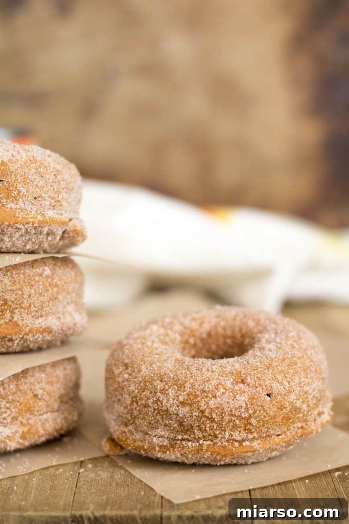 24 Days of Pumpkin Delights 2 Small batch pumpkin donuts