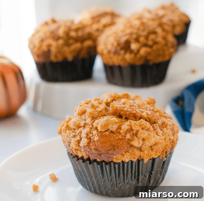 24 Days of Pumpkin Delights 11 Pumpkin Streusel muffins for the 24 days of pumpkin recipes