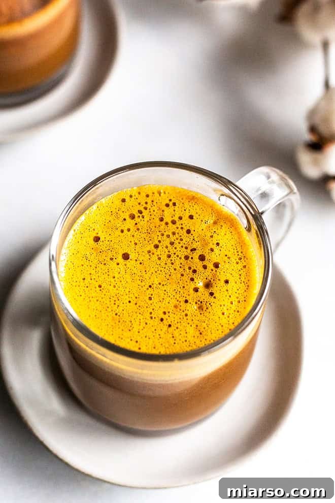 24 Days of Pumpkin Delights 5 Pumpkin Chai blender latte by miss allie's kitchen for the 24 days of pumpkin recipes