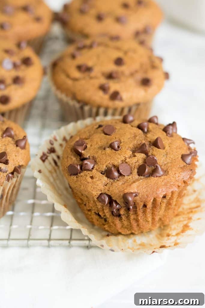 24 Days of Pumpkin Delights 8 Chocolate Chip pumpkin muffins