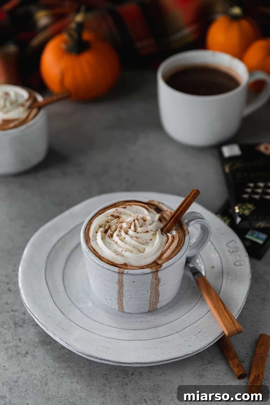 24 Days of Pumpkin Delights 9 Spices in my DNA boozed pumpkin hot chocolate for the 24 days of pumpkin recipes collection