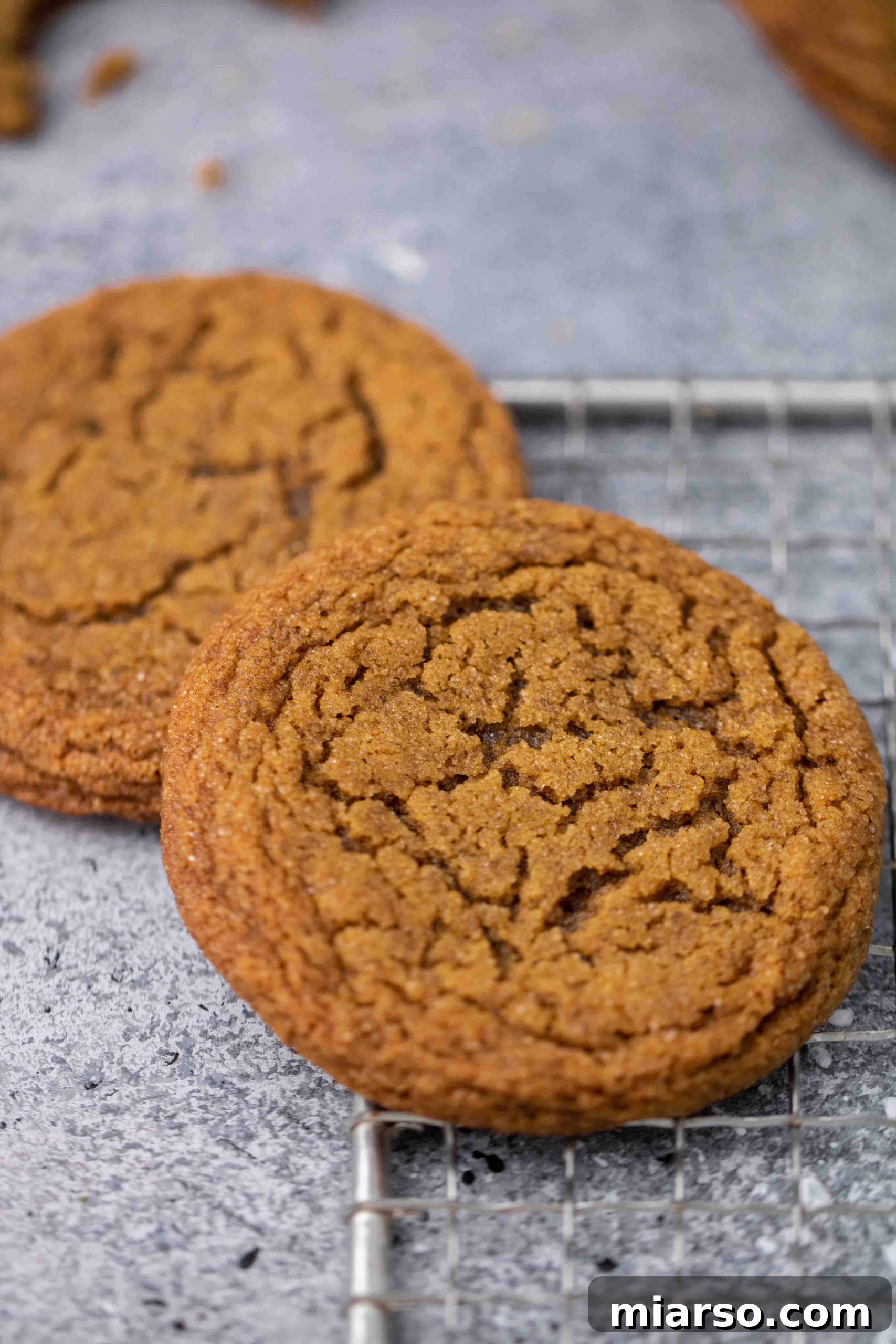 Perfectly Soft and Chewy Ginger Molasses Cookies 16 Close up of the crinkled texture of ginger molasses cookies with sparkling sugar.