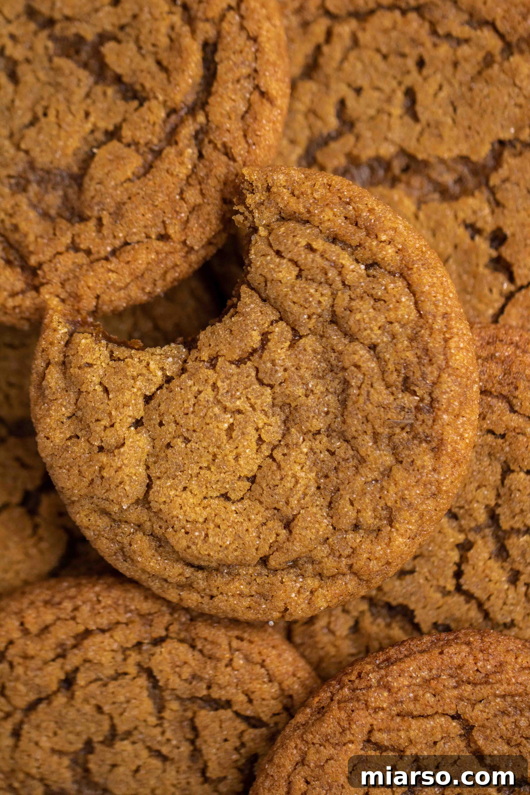 Perfectly Soft and Chewy Ginger Molasses Cookies 18 A freshly baked ginger molasses cookie with prominent crinkles.