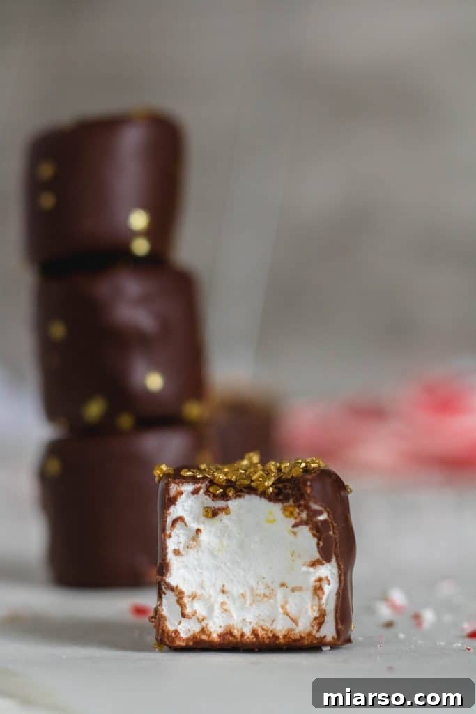 Chocolate covered marshmallow bite